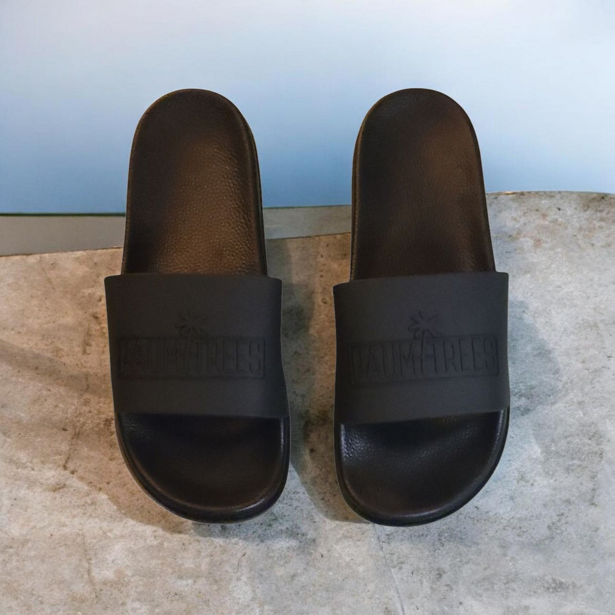 Black on Black Paumtrees slides
