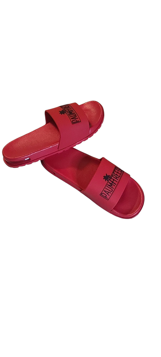 Red & Black Paumtree slides